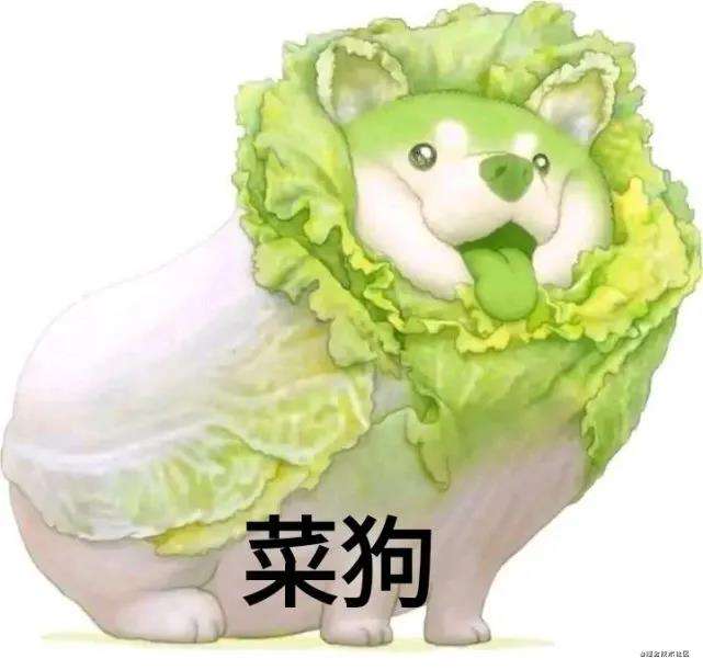 [LeetCode513题找树左下角的值] | 刷题打卡